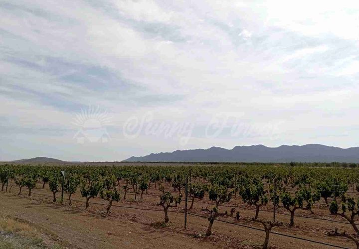 Finca i Yecla, Murcia, Yecla - € 350.000 | Ref: SF0507 - foto 1